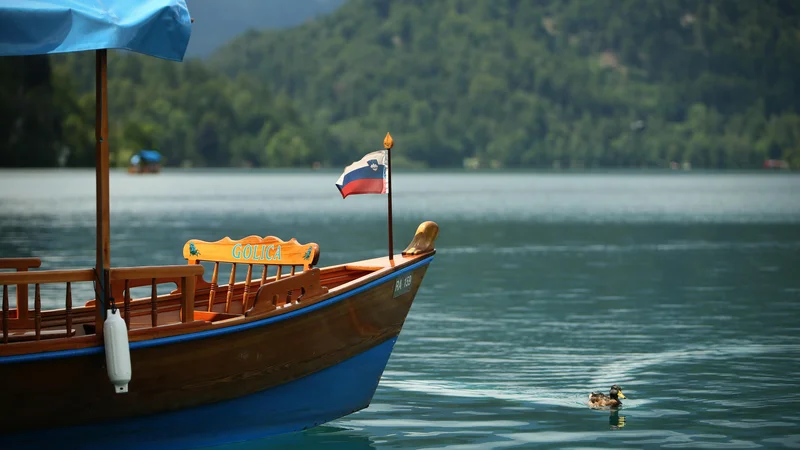 Fotografija: FOTIO: Jure Eržen/Delo