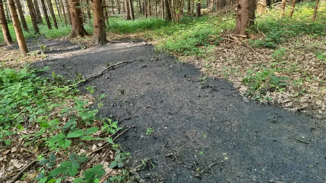 Občini Hoče-Slivnica je treba pomagati in čim prej sanirati ter preprečiti nadaljnje škodljive učinke nerazumljivega dejanja. FOTO: Občina Hoče-Slivnica