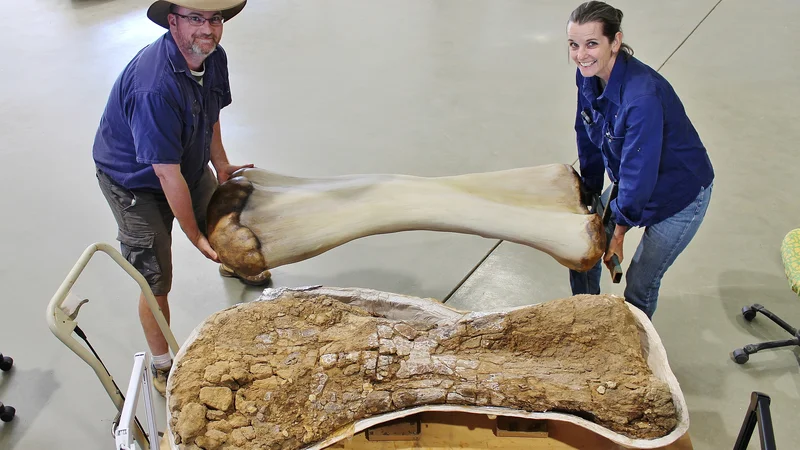 Fotografija: Paleontologa Scott Hocknull in Robyn Mackenzie ob 3D rekonstrukciji in fosilu kosti dinozavra vrste, poimenovane Australotitan cooperensis. FOTO: Naravoslovni muzej Eromanga via Reuters