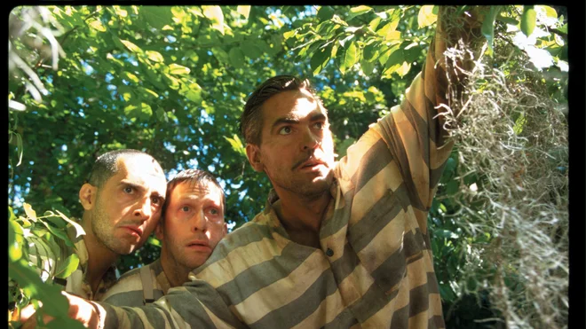 Kdo je tu nor? Foto Tv Slo