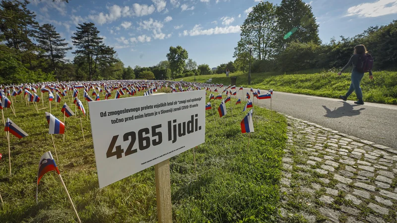 Fotografija: Še bolj temeljito bo treba identificirali šibke točke našega zdravstvenega sistema. FOTO: Jože Suhadolnik/Delo