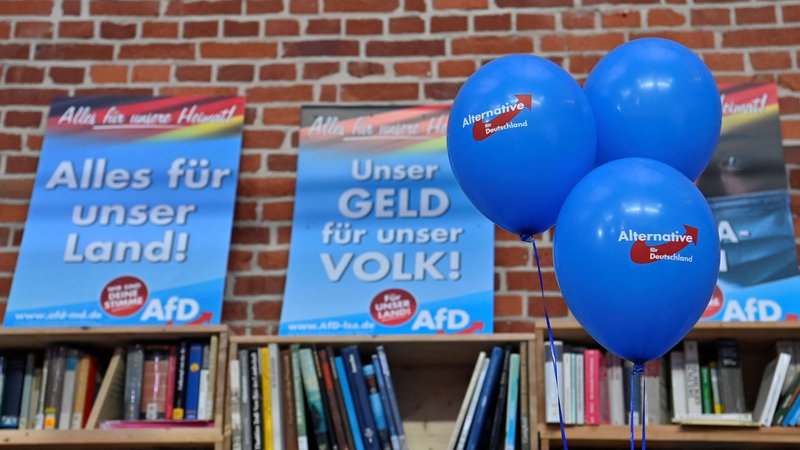 Fotografija: Čeprav je CDU prepričljivo zmagala, problem AfD ostaja.
FOTO:John Macdougall/AFP