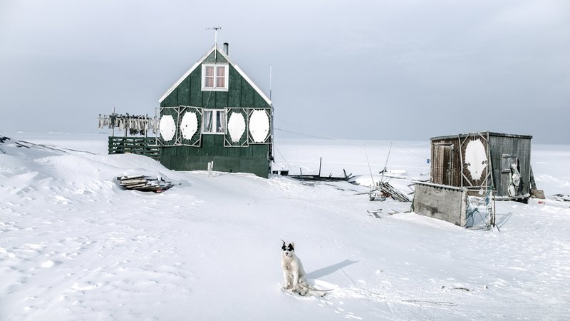 Fotografija: Naselje Saattut leži na manjšem otoku na zahodu Grenlandije. Na njem živi 250 ljudi, ki se preživljajo z lovom in ribolovom, in 500 vprežnih psov. FOTO: Ciril Jazbec