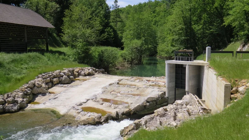 Fotografija: Jez male hidroelektrarne na Krki delno posega na sosednje zemljišče. FOTO: Bojan Rajšek/Delo