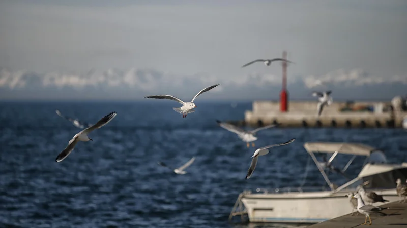 Fotografija: Začenja se vročinski val. FOTO: Blaž Samec/Delo