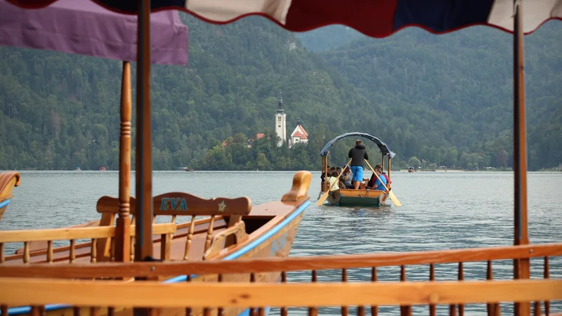 Fotografija: Bone bo mogoče koristiti po sprejetju zakona in pripravi izvedbene uredbe. FOTO: Jure Eržen/Delo