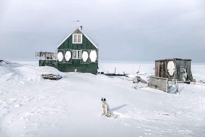 Naselje Saattut leži na manjšem otoku na zahodu Grenlandije. Na njem živi 250 ljudi, ki se preživljajo z lovom in ribolovom, in 500 vprežnih psov. FOTO: Ciril Jazbec 