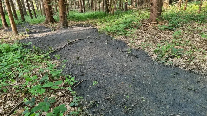 Fotografija: Dva tovornjaka sta prepeljala v Pivolo 200 ton blata. FOTO: Občina Hoče - Slivnica