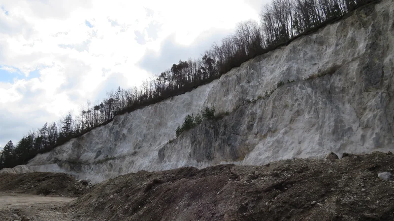 Fotografija: Kamnolom Brinjeva gora bi Ecobeton rad obudil, krajani temu nasprotjujejo. FOTO: Špela Kuralt/Delo