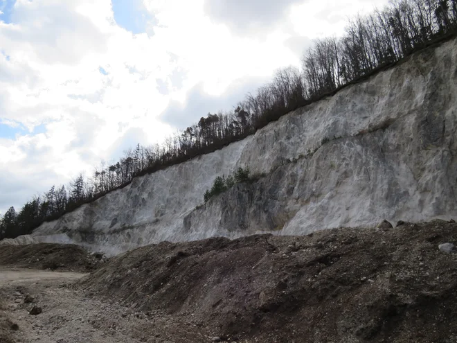 Kamnolom Brinjeva gora bi Ecobeton rad obudil, krajani temu nasprotjujejo. FOTO: Špela Kuralt/Delo