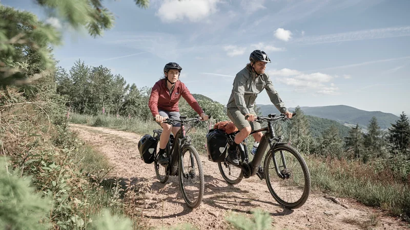 Fotografija: Delež električnih koles utegne letos v Sloveniji doseči 30 odstotkov.
FOTO: www.giant-bicycles.com/si