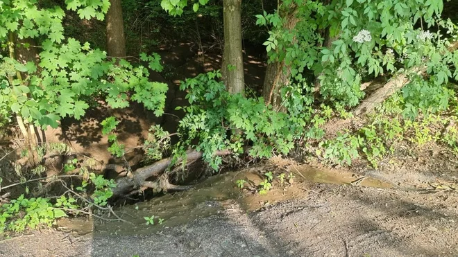 Število novih črnih odlagališč komunalnega blata se povečuje iz dneva v dan. FOTO: občina Hoče - Slivnica
