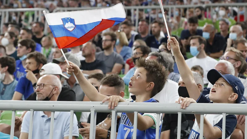 Fotografija: Pri domoljubju torej ne gre niti za zastavo in podobno. FOTO: Leon Vidic/Delo