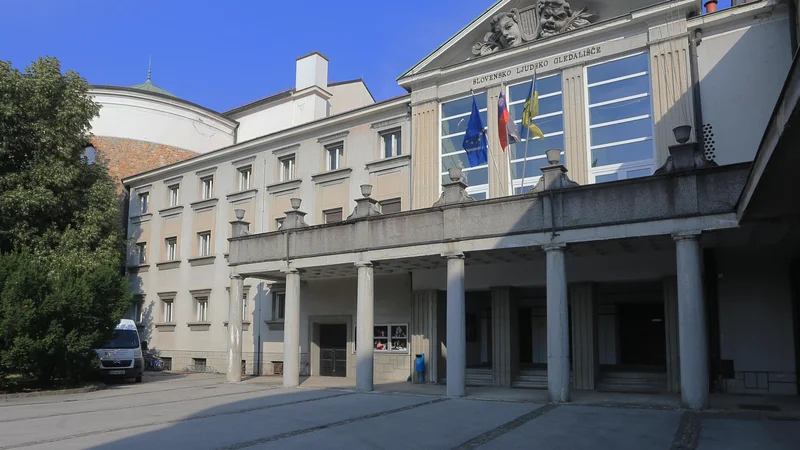 Fotografija: Razpis za upravnika v SLG Celje bodo ponovili, Zavod Celeia Celje pa bo najverjetneje po novem vodila Maja Voglar. FOTO: Tadej Regent