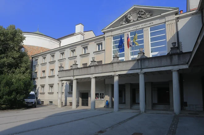 Razpis za upravnika v SLG Celje bodo ponovili, Zavod Celeia Celje pa bo najverjetneje po novem vodila Maja Voglar. FOTO: Tadej Regent