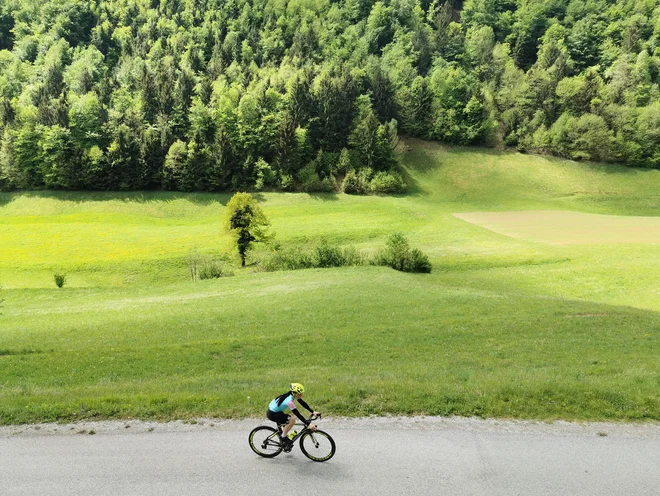 FOTO: Dejan Javornik/Slovenske novice