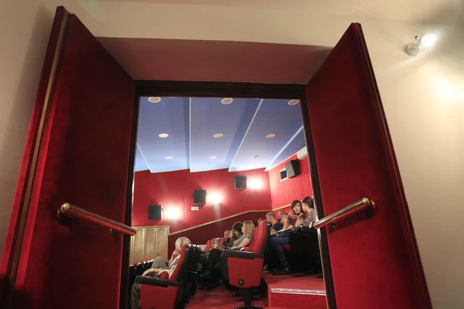 Ljudje se za takšno »mimogrede stvar«, kot je kino, verjetno res ne bodo vedno znova testirali. Za koncert, ki ga čakajo že poldrugo leto, pač. FOTO: Leon Vidic/Delo