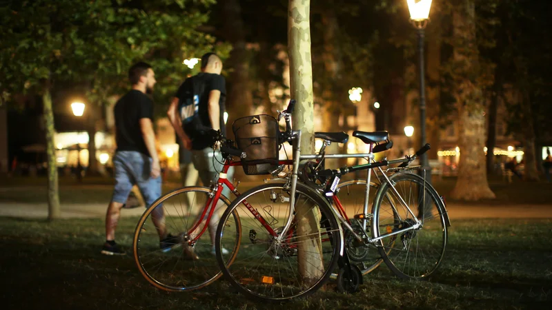 Fotografija: V hrvaški Istri je 23-letnik ukradel najmanj deset koles in jih prepeljal v Slovenijo. Fotografija je simbolična. FOTO: Jure Eržen/Delo