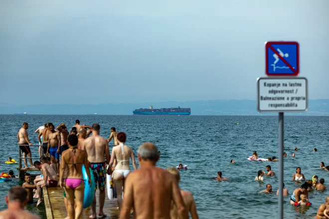 Tudi temperatura morja je visoka: med 27 in 29 stopinjami Celzija. FOTO: Voranc Vogel/Delo