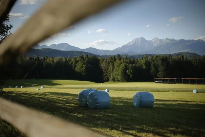 Za kmetijstvo je okviru večletnega finančnega okvira EU 2021-2027 predvidena približno tretjina vseh sredstev oziroma 387 milijard evrov. FOTO: Jure Eržen/Delo