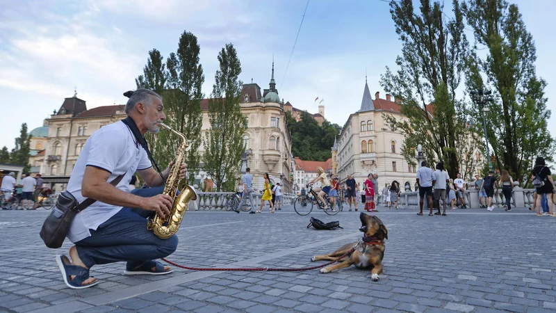 Fotografija: Navdušenje nad tehnologijo samo po sebi je podobno nesmiselno kot strah pred tehnologijo. FOTO: Jože Suhadolnik/Delo