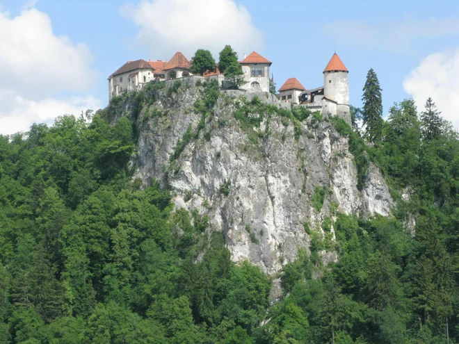 Za pridružitev projektu se zanimajo tudi na blejskem gradu.<br />
FOTO: Blaž Račič