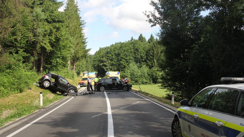 Fotografija: Prometna nesreča se je zgodila pri naselju Turjak. FOTO: PU Ljubljana