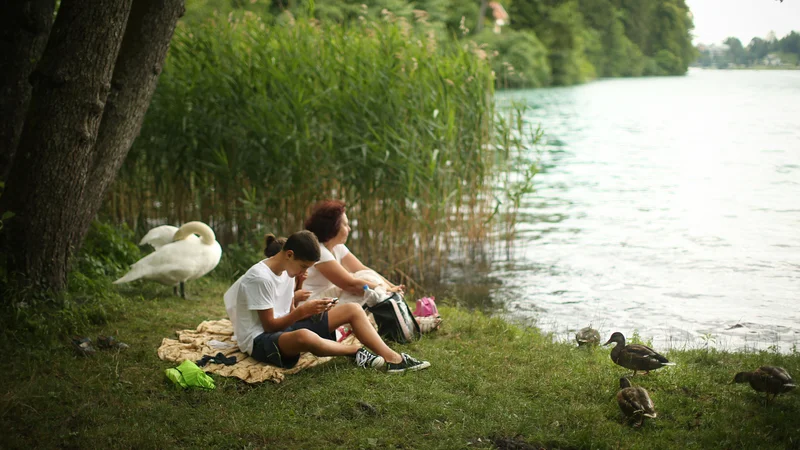 Fotografija: »Novela zakona o vodah odpira nekatere možnosti posegov na vodna in priobalna zemljišča, pušča pravne nedoslednosti in niža nivo odločanja o posegih v vodna in priobalna zemljišča. Menimo, da je to v časih, ko pritisk na prostor in okolje narašča, nesprejemljivo,« so zapisali v Svetu za varovanje okolja SAZU. FOTO: Jure Eržen/Delo