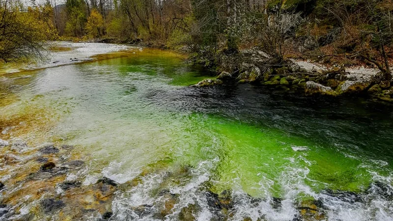 Fotografija: Savica pred izlivom v Bohinjsko jezero. FOTO: Tina Horvat