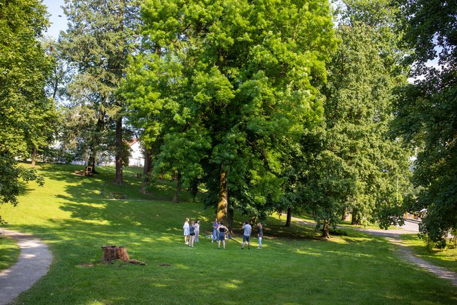 Grajski park so zasnovali Attemsi v prvi polovici 19. stoletja, danes pa je kraj sprostitve in brezskrbne igre za najmlajše. FOTO: Voranc Vogel/Delo