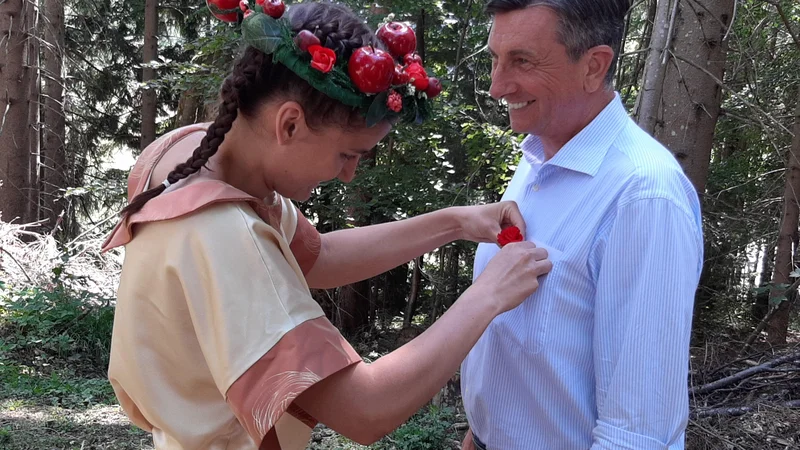 Fotografija: Borut Pahor letos pri Najevski lipi. Pozval je k prizadevanjem, da skušamo nagovoriti tudi drugače misleče in z njimi iskati kompromise za skupno dobro. FOTO: Mateja Kotnik/Delo