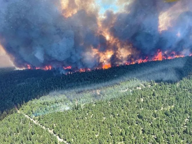 Požar v bližini jezera Sparks, eden od številnih požarov, ki so zaradi vročinskega vala izbruhnili v Britanski Kolumbiji. FOTO: Afp
