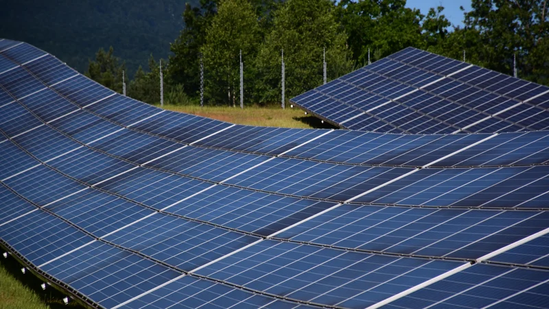 Fotografija: Zelena energija uresničuje podnebne cilje. FOTO: Moja Elektrarna