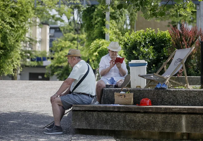 Tudi v vrhu Desusa so pomisleki o demografskem skladu in njegovem vplivu na zagotavljanje denarja za pokojnine. V ozadju zakona pa je razgradnja omrežja Boruta Jamnika. FOTO: Blaž Samec