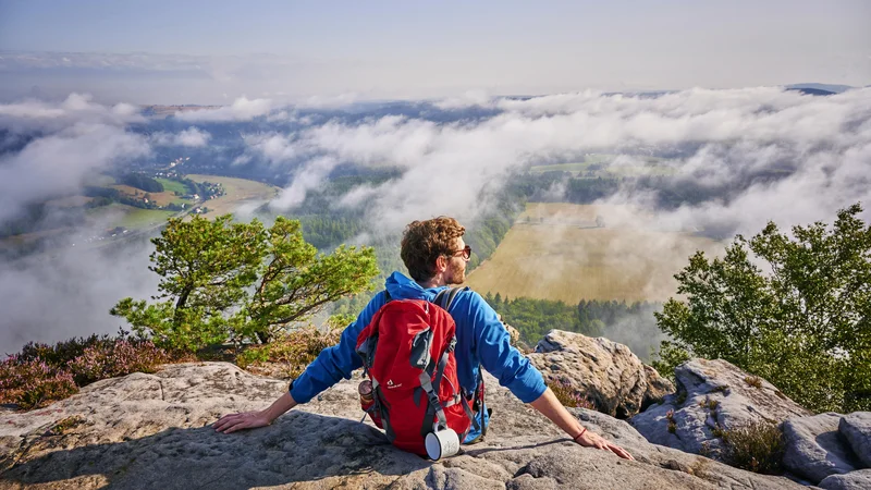Fotografija: Če ste utrujeni od štetja ovac, ki ponoči v vaši glavi preskakujejo ograde, se boste morali več premikati čez dan. FOTO: Jens Wegener
