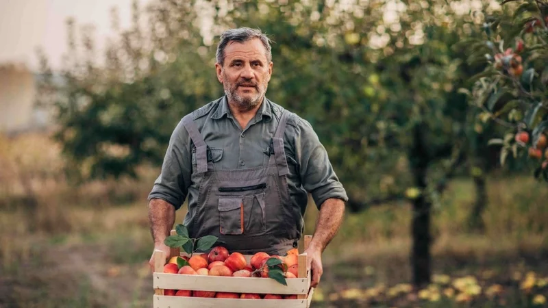Fotografija: Slovenija na področju kmetijstva in živilstva spada v skupino skromnih in zmernih inovatorjev. FOTO: Eit Food Hub