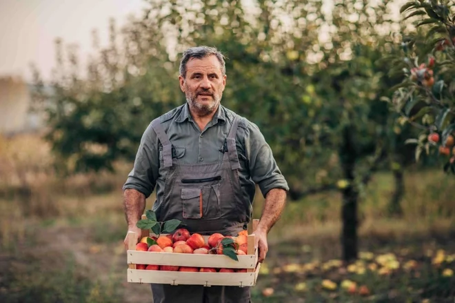 Slovenija na področju kmetijstva in živilstva spada v skupino skromnih in zmernih inovatorjev. FOTO: Eit Food Hub