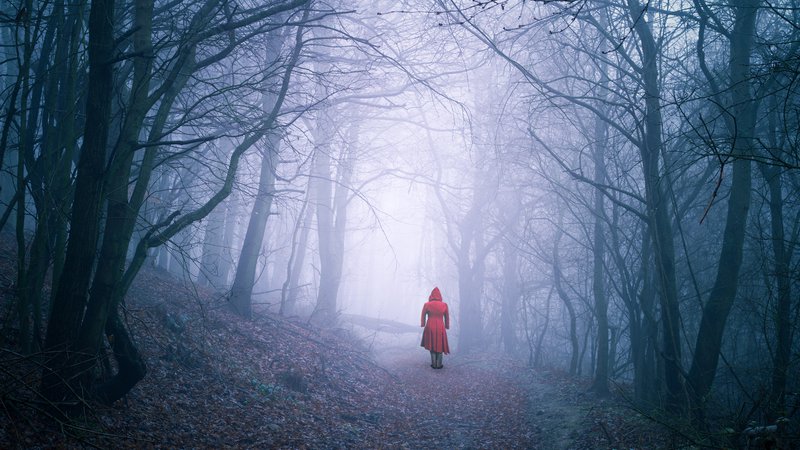 Fotografija: V parku Kodeljevo odkrijejo truplo trinajstletne deklice. FOTO: Shutterstock