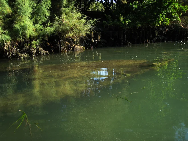 Kanal je poln potopljenih plovil. FOTO: Aleš Nosan