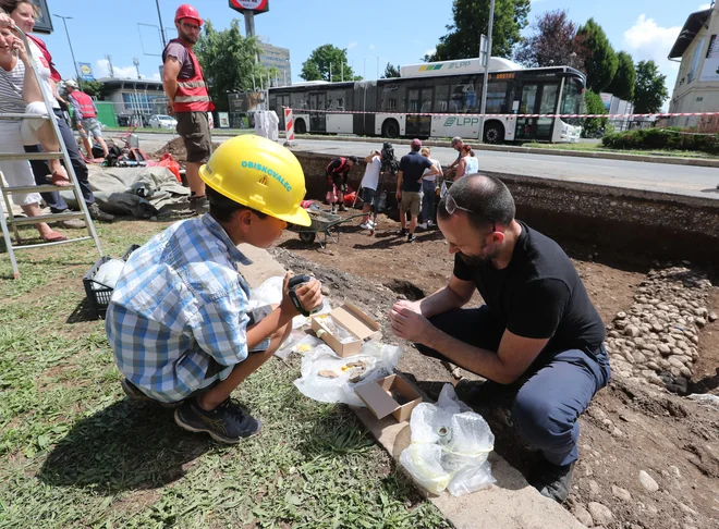 Mladi pomočnik iz soseščine FOTO: Dejan Javornik/Slovenske novice
