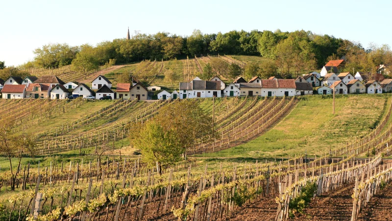 Fotografija: Za obiskovalce so zanimive Kellergassen, nekakšne kletne ulice oziroma vrste »hiš brez dimnikov« ob cestah v bližini vinogradov. FOTO: WTG/Weiss