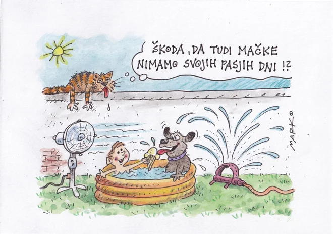 Karikatura Marko Kočevar