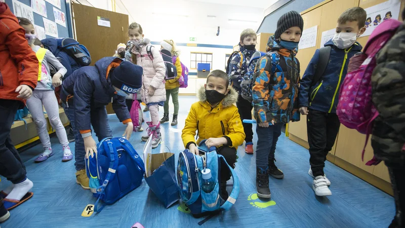 Fotografija: FOTO: Jože Suhadolnik/Delo