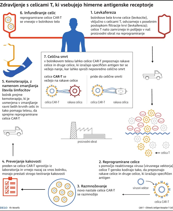 Infografika Delo