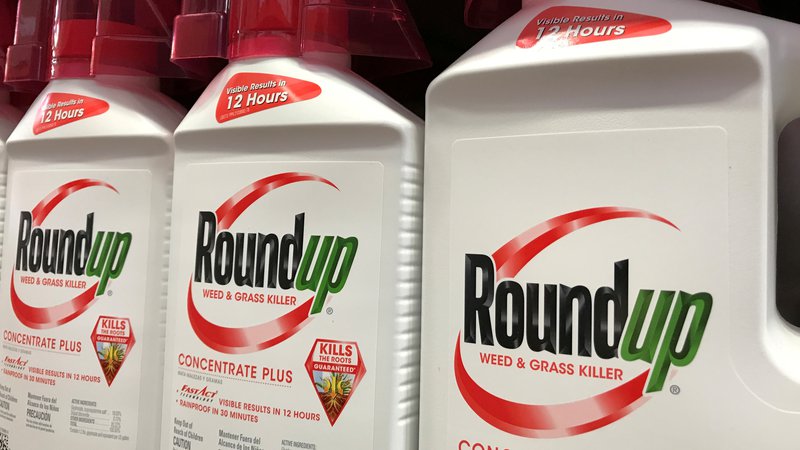 Fotografija: Več bolnikov v ZDA podjetje toži, da so zboleli zaradi izpostavljenosti pesticidu za zatiranje plevela Roundup, ki vsebuje aktivno snov glifosat. FOTO: Mike Blake/Reuters