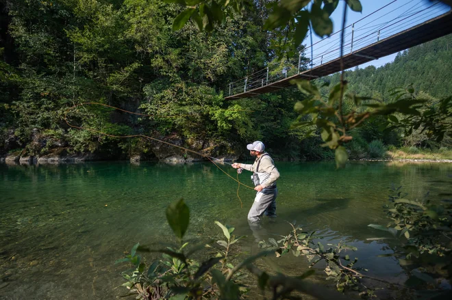 Na ribolovni dan lahko ribič upleni samo eno soško postrv in samo enega lipana. FOTO: Jošt Gantar