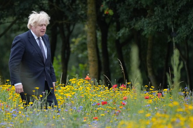 Britanska vlada premiera Borisa Johnsona je po brexitu omejila zakonite migracije, nezakonite bo težje. Foto: Christopher Furlong/Afp