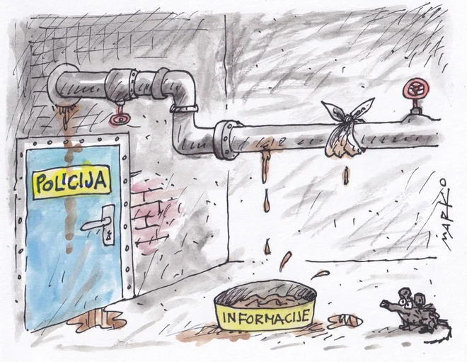 KARIKATURA: Marko Kočevar/Delo