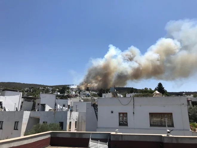Dim gozdnega požara se vije nad stanovanjskim predelom letoviškega mesta Bodrum. FOTO: Sevgin Ozkan prek Reuters