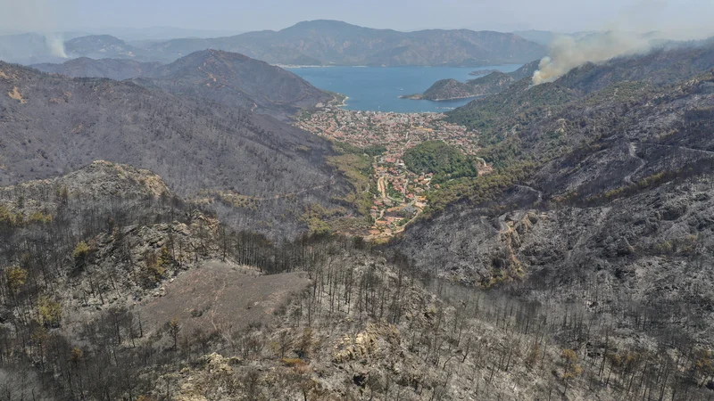 Fotografija: Fotografija, posneta z dronom, prikazuje požgano gozdno pokrajino blizu letoviškega mesta Marmara. FOTO: Umit Bektas/Reuters